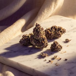 Charmed Flower 🍃 💨